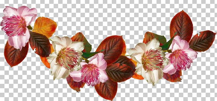 Petal Cut Flowers Flowering Plant PNG, Clipart, Autumn, Blossom, Card, Cut Flowers, Flower Free PNG Download