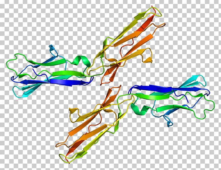 TYRO3 Protein Kinase Receptor Tyrosine Kinase PNG, Clipart, Area, Art, Artwork, Autophosphorylation, Dna Free PNG Download