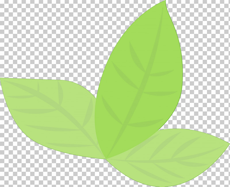 Leaf Green Plant Logo Flower PNG, Clipart, Flower, Green, Leaf, Logo, Paint Free PNG Download