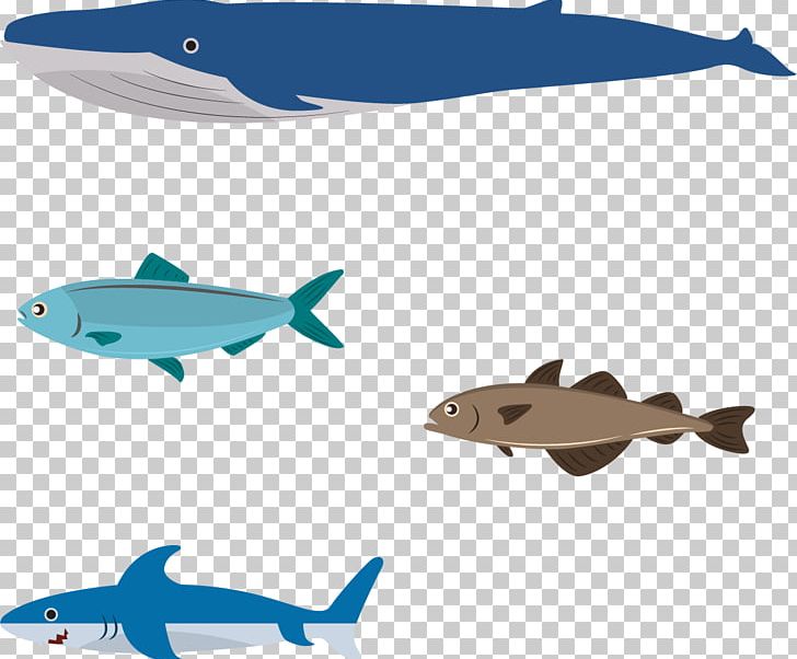 Flat Design Illustration PNG, Clipart, Airplane, Animals, Biology, Fauna, Marine Biology Free PNG Download