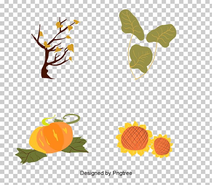 Pumpkin Vegetable Squash Autumn PNG, Clipart, Autumn, Bargli Sabzavotlar, Branch, Cucurbita, Desktop Wallpaper Free PNG Download