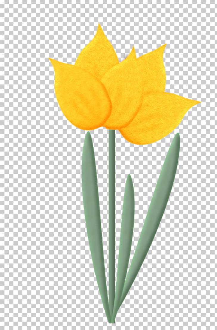 Tulip Flower PNG, Clipart, Bayan Mod, Blog, Blume, Cut Flowers, Drawing Free PNG Download