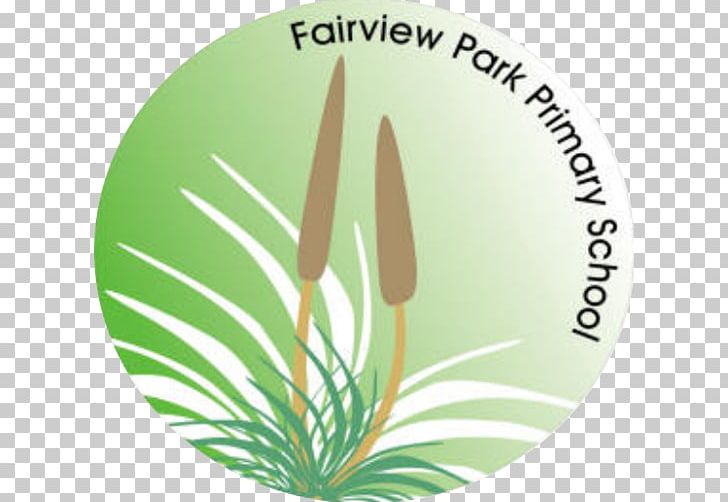 Fairview Park Primary School Primary Education Goodwood Primary School PNG, Clipart, Department For Education, Education, Elementary School, Flower, Grass Free PNG Download