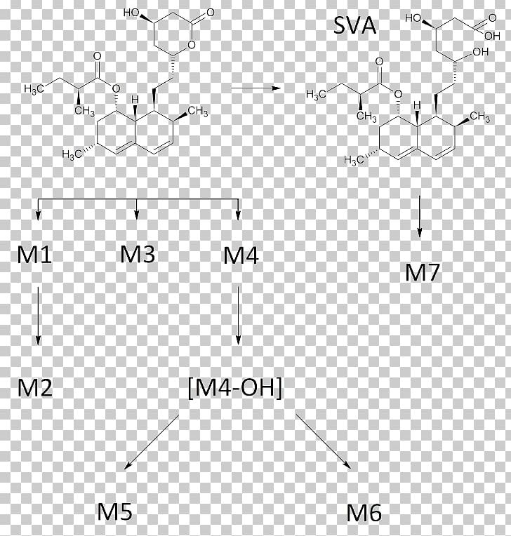 Simvastatin Human Metabolic Pathways Metabolism Chemical Compound Metabolite PNG, Clipart, Angle, Area, Black And White, Chemical Compound, Chemistry Free PNG Download