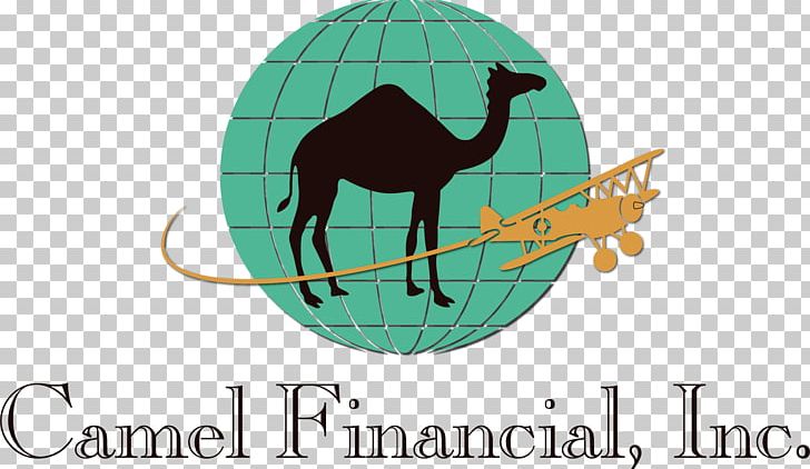 Taco Bell Camel Financial Inc Mexican Cuisine Restaurant Food PNG, Clipart, Brand, Business, Concordia University Irvine, Food, Grass Free PNG Download