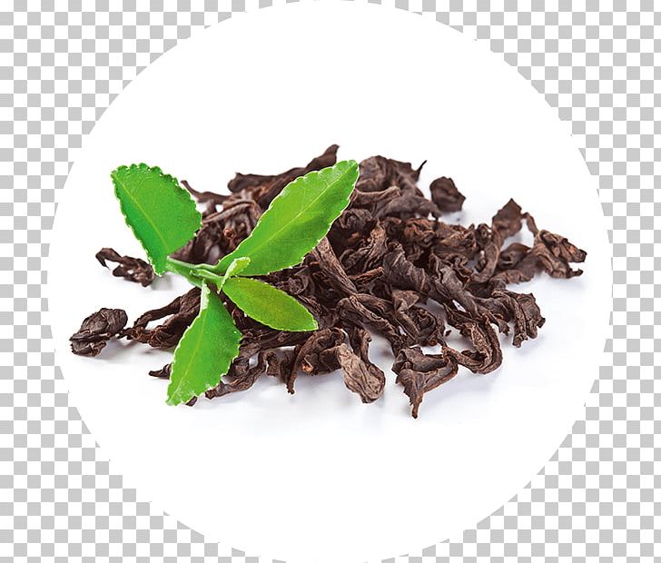 Green Tea White Tea Tea Plant Tea Bag PNG, Clipart, Assam Tea, Bai Mudan, Bancha, Ceylon Tea, Chinese Tea Free PNG Download