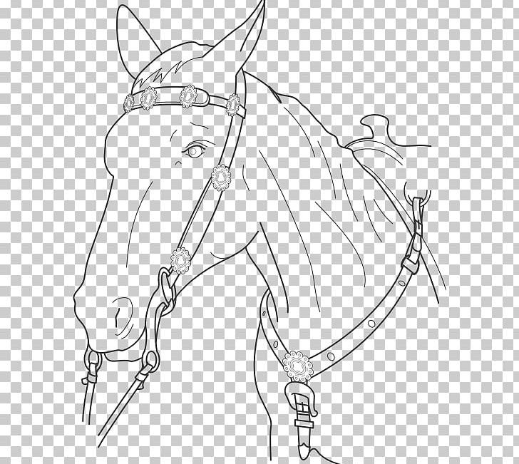 Horse Stallion Coloring Book Dog PNG, Clipart, Angle, Animal, Animals, Arm, Artwork Free PNG Download