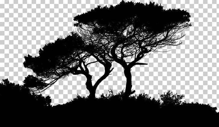 Landscape Silhouette Photography PNG, Clipart, Agaclar, Animals, Black And White, Branch, Computer Wallpaper Free PNG Download