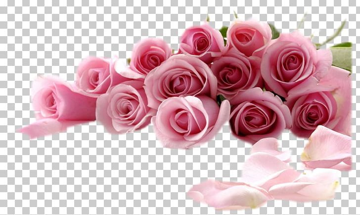 Rose Desktop Flower Stock.xchng PNG, Clipart, Artificial Flower, Computer, Cut, Desktop Wallpaper, Display Resolution Free PNG Download