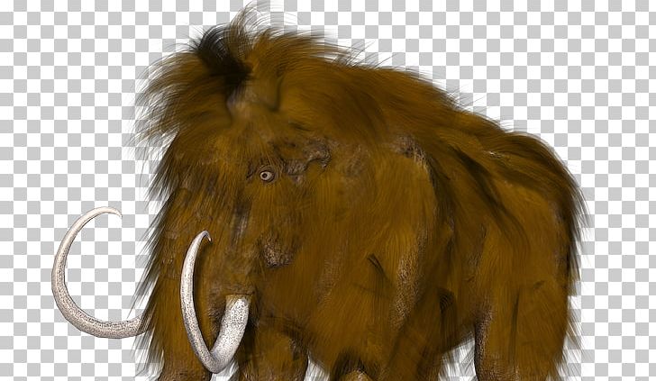 Woolly Mammoth Extinction African Elephant Far Cry Primal PNG, Clipart, African Elephant, Animal, Asian Elephant, Big Cats, Carnivoran Free PNG Download