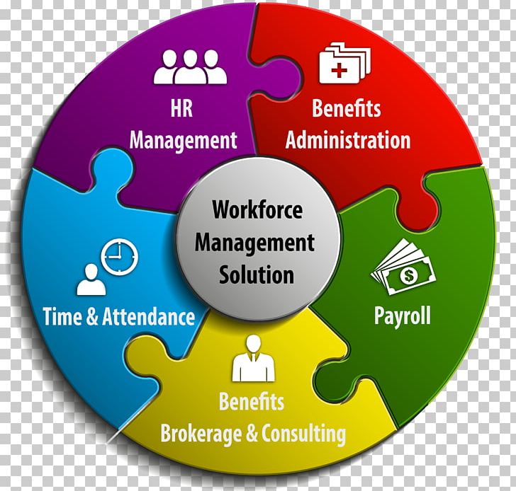 Workforce Management Organization Human Resource Consulting PNG, Clipart, Area, Brand, Circle, Compact Disc, Consultant Free PNG Download