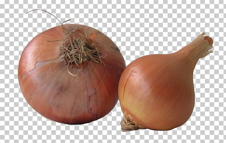 Yellow Onion Shallot Health Caramelization Bulb PNG, Clipart, Allium, Brot, Bulb, Caramelization, Coriander Free PNG Download