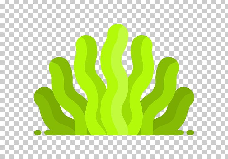 Seaweed Computer Icons Encapsulated PostScript Algae PNG, Clipart, Alga, Algae, Computer Icons, Encapsulated Postscript, Grass Free PNG Download