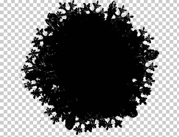 Art PNG, Clipart, Anjaan, Art, Black, Black And White, Circle Free PNG Download