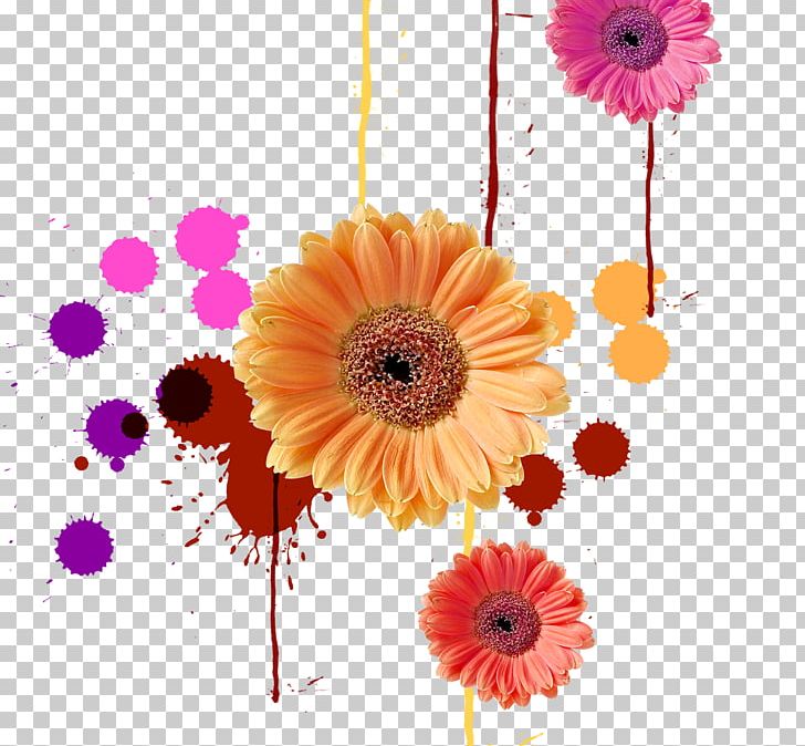 Ink Color Computer File PNG, Clipart, Chrysanthemum Vector, Color, Color Splash, Dahlia, Daisy Family Free PNG Download