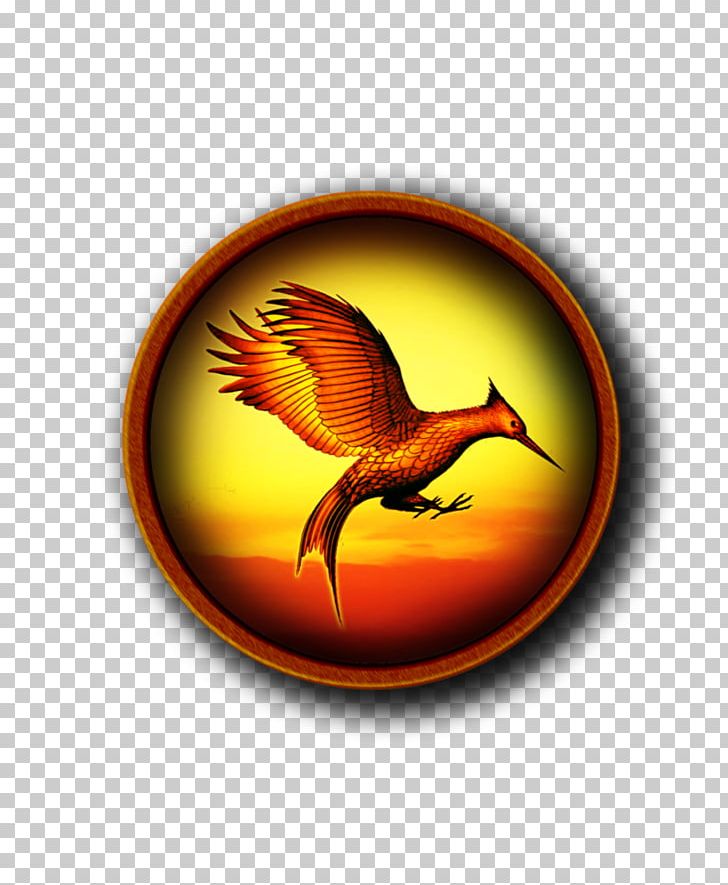 Catching Fire Computer Icons The Hunger Games PNG, Clipart, Beak, Bird, Catching Fire, Circular Ring, Computer Icons Free PNG Download