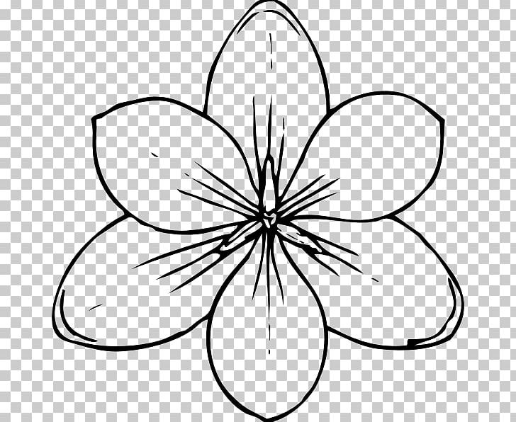 Coloring Book Flower Drawing PNG, Clipart, Adult, Area, Artwork, Black And White, Child Free PNG Download