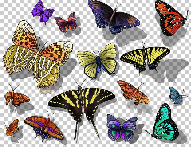Butterfly Photography PNG, Clipart, Arthropod, Brush Footed Butterfly, Butterflies And Moths, Butterfly, Digital Image Free PNG Download