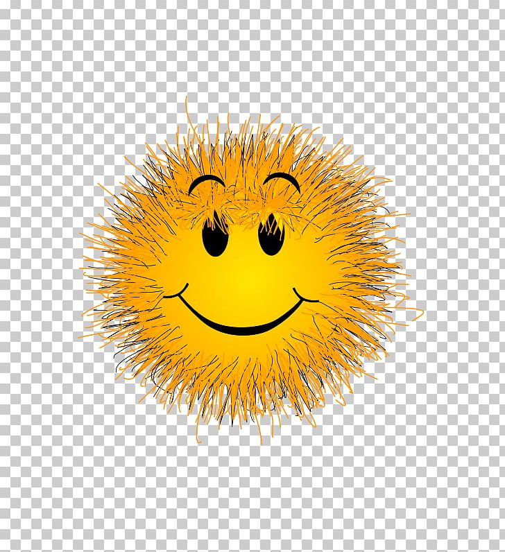 Smiley Computer Icons Emoticon PNG, Clipart, Cartoon, Computer Icons, Emoticon, Happiness, Miscellaneous Free PNG Download