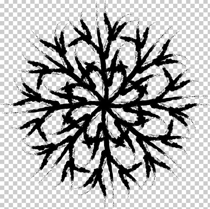 Snowflake Cold Winter Weather PNG, Clipart, Asterisk, Black And White, Branch, Circle, Cold Free PNG Download