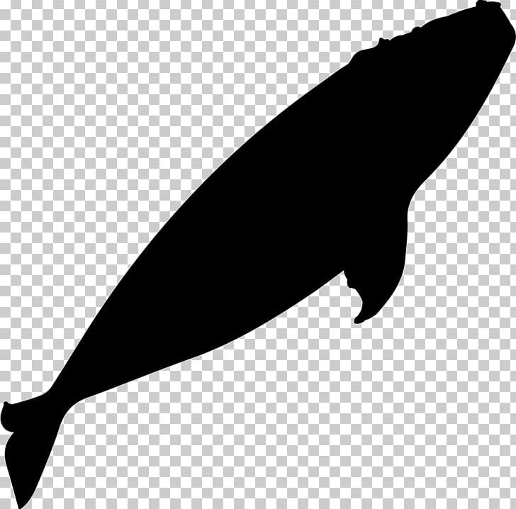 Southern Right Whale Whale Watching Silhouette PNG, Clipart, Animal, Animals, Balaenidae, Black And White, Blue Whale Free PNG Download