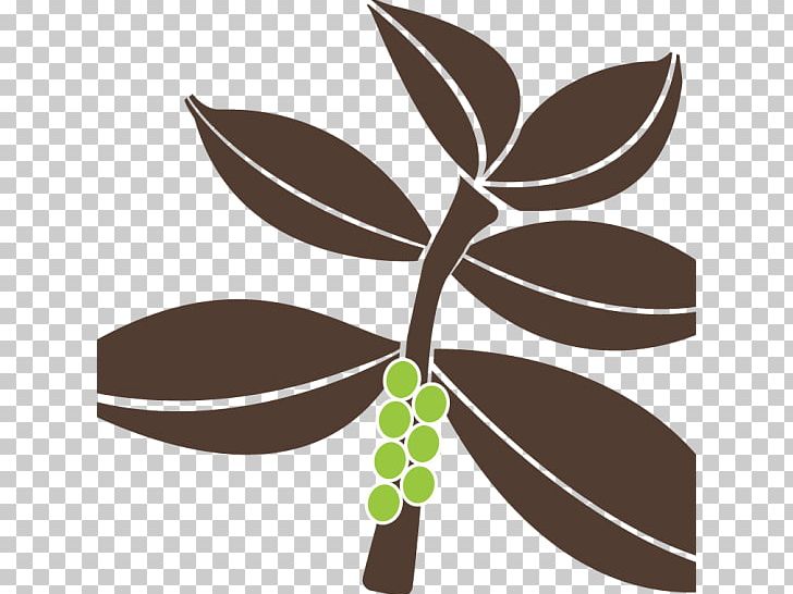 Leaf Plant Stem PNG, Clipart, Branch, Flora, Food, Leaf, Plant Free PNG Download