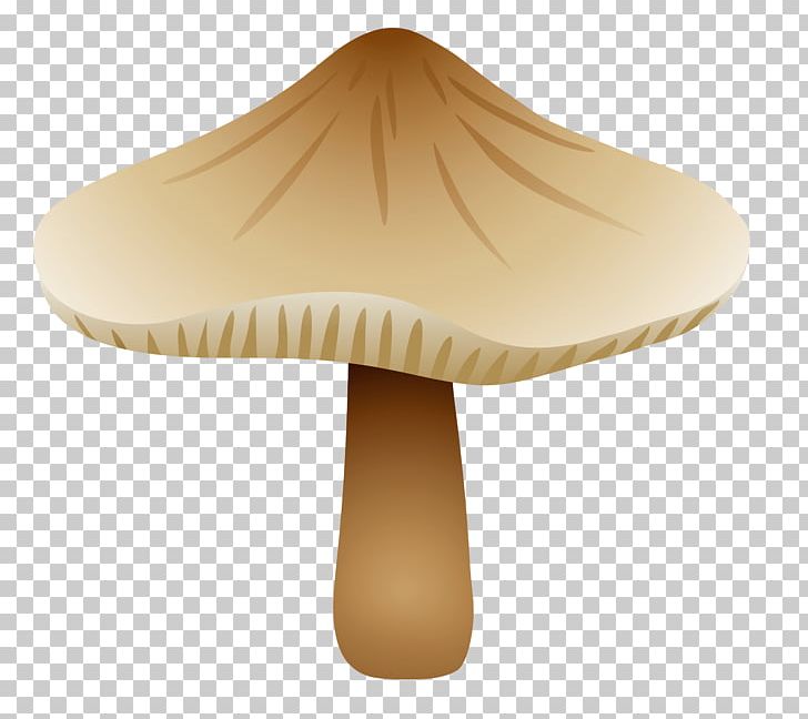 Mushroom Fungus Drawing Botanical Illustration PNG, Clipart, Beige, Boletus, Boletus Edulis, Botanical Illustration, Botany Free PNG Download