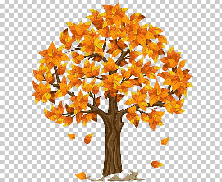 Tree Autumn PNG, Clipart, Autumn, Autumn Leaf Color, Branch, Cut Flowers, Deciduous Free PNG Download
