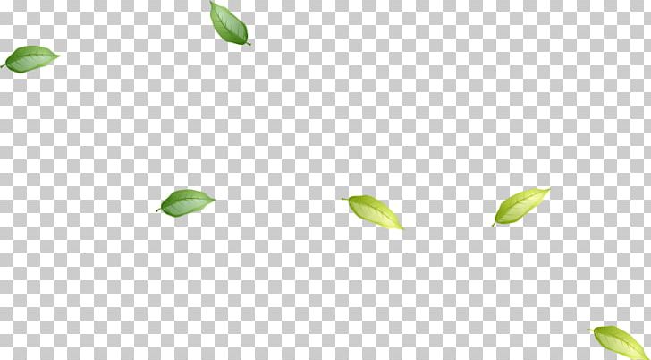 Green Leaves Floating PNG, Clipart, Angle, Background, Cartoon, Design, Float Free PNG Download