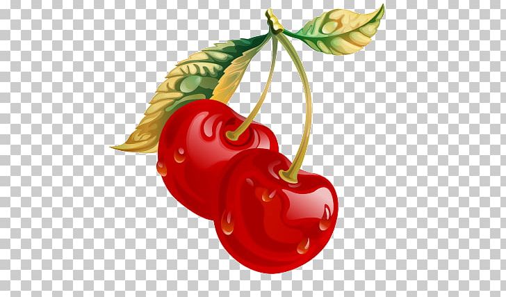 Cherry Drawing Portable Network Graphics PNG, Clipart, Berry, Bing Cherry, Cherry, Chili Pepper, Food Free PNG Download