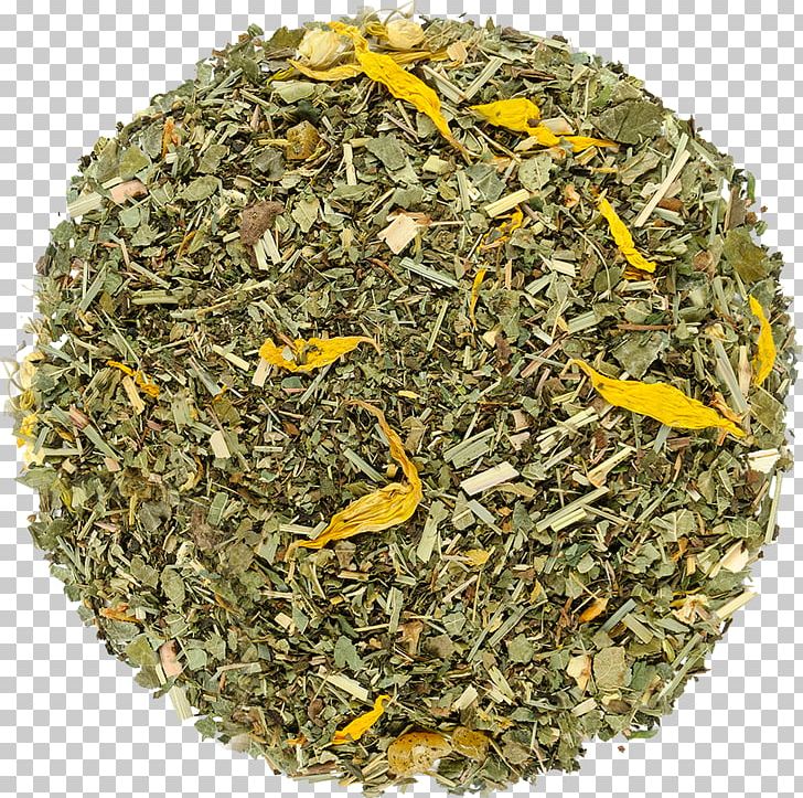 Nilgiri Tea Hōjicha Mixture Tea Plant PNG, Clipart, Assam Tea, Bancha, Ceylon Tea, Chun Mee Tea, Darjeeling Tea Free PNG Download