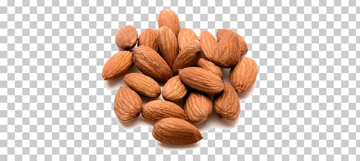 Almond PNG, Clipart, Almond Free PNG Download