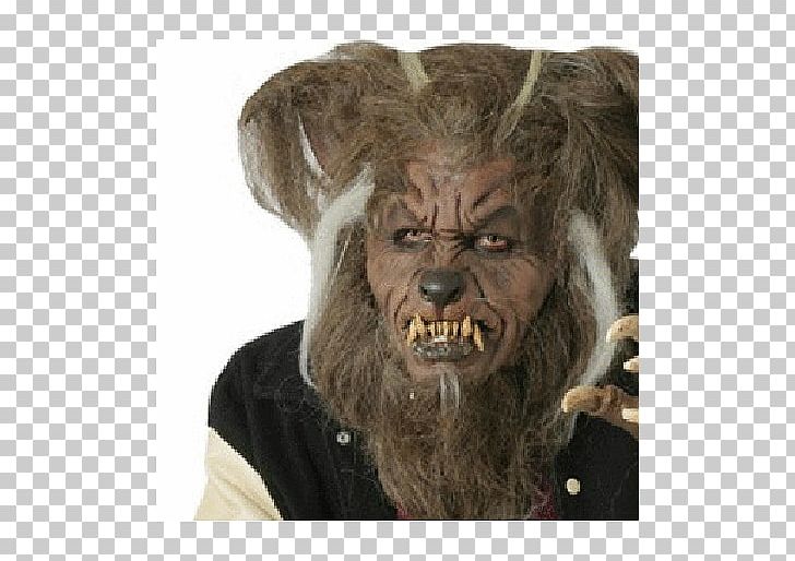 Werewolf Gray Wolf Mask Costume Halloween PNG, Clipart, Costume, Ear, Facial Hair, Fantasy, Fur Free PNG Download