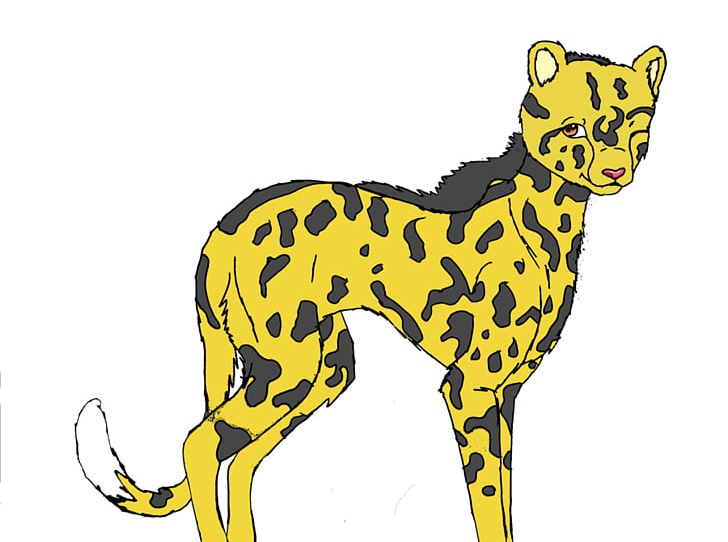 Cheetah Cat Lion Drawing PNG, Clipart, Big Cats, Carnivoran, Cat Like Mammal, Cheetah Drawings Images, Coloring Book Free PNG Download