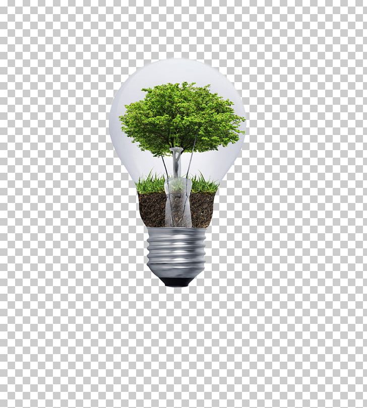 Incandescent Light Bulb Tree PNG, Clipart, Art, Bulb, Christmas Tree, Creative, Decorative Free PNG Download