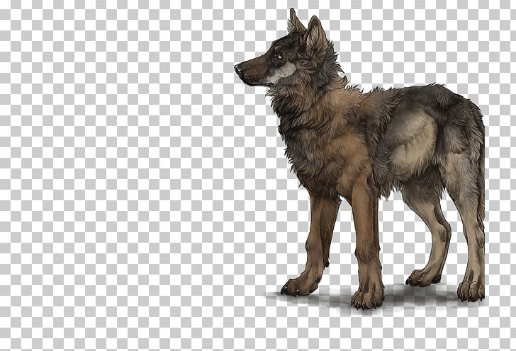 Kunming Wolfdog Coyote Jackal Fur PNG, Clipart, Anjeer, Breed, Carnivoran, Coyote, Dog Free PNG Download