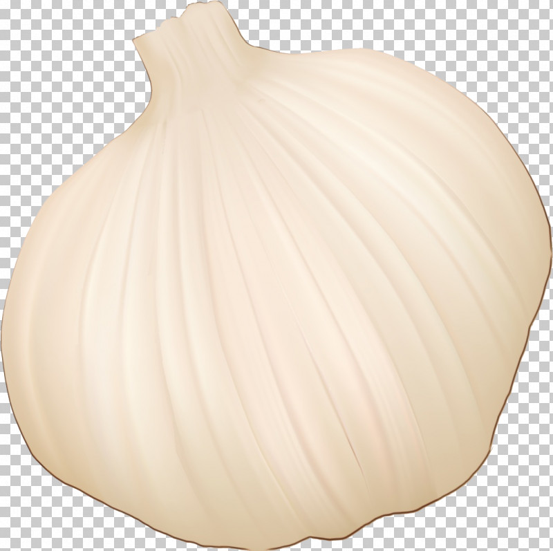 Onion Garlic Vase PNG, Clipart, Garlic, Onion, Paint, Vase, Watercolor Free PNG Download