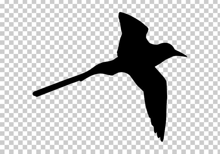 Bird Flight Shape Swallow PNG, Clipart, Animal, Animals, Beak, Bird, Bird Flight Free PNG Download