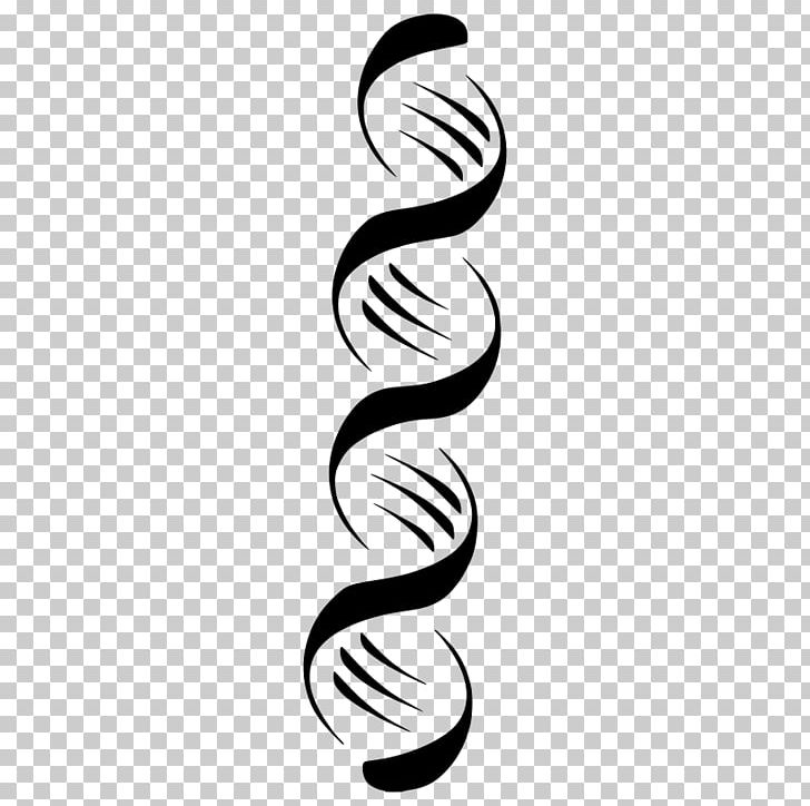 Nucleic Acid Double Helix DNA PNG, Clipart, Black And White, Body Jewelry, Cell, Cellfree Fetal Dna, Circle Free PNG Download