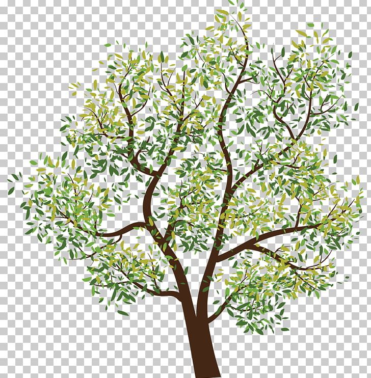 Tree Branch PNG, Clipart, Branch, Clipping Path, Computer Icons, Download, Flora Free PNG Download