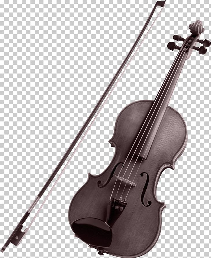 Violin Family Musical Instrument String Instrument Flute PNG, Clipart, Bass Guitar, Bass Violin, Bow, Bowed String Instrument, Cartoon Violin Free PNG Download