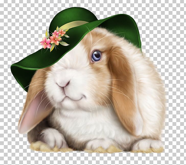 Domestic Rabbit Night Evening Easter PNG, Clipart, Blessing, Day, Domestic Rabbit, Easter, Evening Free PNG Download