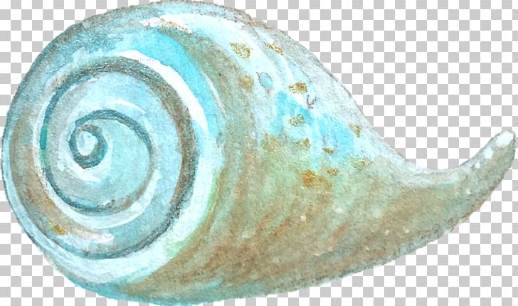 Given To The Sea Sea Snail PNG, Clipart, Blue, Book Review, Conch, Cups, Decorate Free PNG Download