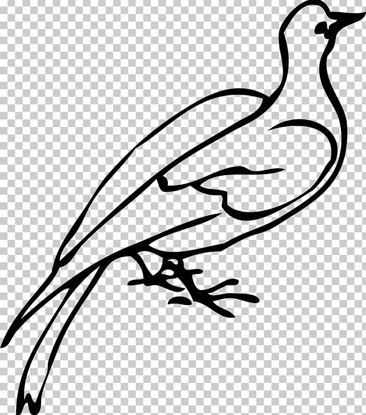 Branch Galliformes Others PNG, Clipart, Art, Artwork, Beak, Bird, Black And White Free PNG Download