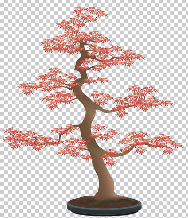 Pinus Thunbergii Beautiful Bonsai Tree Drawing PNG, Clipart, Beautiful, Beautiful Bonsai, Bonsai, Bonsai Tree, Branch Free PNG Download
