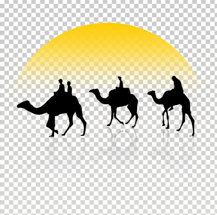 Bactrian Camel Dromedary Camel Train PNG, Clipart, Animals, Camel, Caravan, Cartoon, City Silhouette Free PNG Download