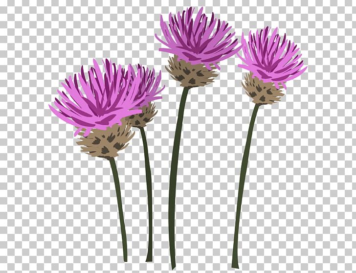 Flowerpot Plant Stem Cut Flowers Artificial Flower PNG, Clipart, Artificial Flower, Aster, Chives, Cut Flowers, Daisy Family Free PNG Download