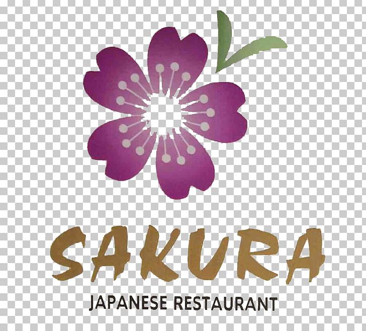 Japanese Cuisine Sushi Samurai Buffalo Take-out Thai Cuisine PNG, Clipart, Brand, Cuisine, Culinary Arts, Delivery, Flower Free PNG Download