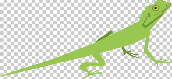 Lizard Reptile Eidechse PNG, Clipart, Amphibian, Animal, Animals, Clock, Eidechse Free PNG Download