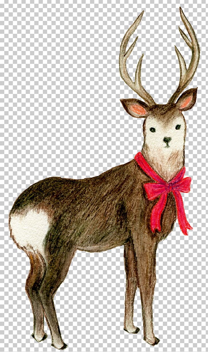 Reindeer Elk Butterfly White-tailed Deer PNG, Clipart, Animal, Animal Figure, Animals, Antler, Bow Free PNG Download